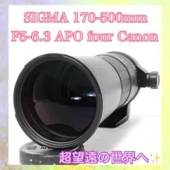 SIGMA APO 170-500mm F5-6.3 望遠ズームレンズ - メルカリ