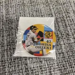 福岡ソフトバンクホークス 若鷹ガチャ タカコレ tvq 缶バッジ 山川穂高