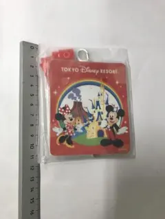 ディズニー　パスケース