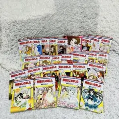 神様はじめました 25.5 公式ファンブック アニメDVD同梱版 Amazon.co.jp: 神様はじめました 25巻 オリジナルアニメDVD付限定版