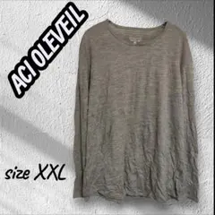 ACI OLEVEILの100%メリノウール製Tシャツ長袖ライトグレー