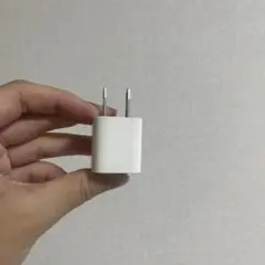 正規品 iPhone アダプタ Apple 充電器 コンセント