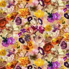 輸入生地　USAコットン(Mousin' Around)C