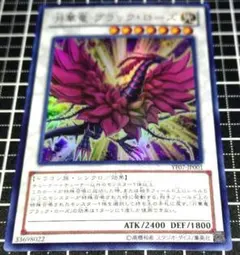 2026年最新】月華竜 ブラック・ローズの人気アイテム - メルカリ