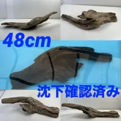 W84沈下確認済み アク抜き済み流木 アクアリウム 爬虫類シェルターのサムネイル