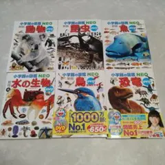 新版 小学館の図鑑NEOシリーズ 6冊セット DVD付き