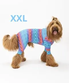 Item thumbnail for item 4bf1d24c-dda2-4e5d-9ae3-1bfc3667d7c6