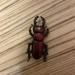 Item thumbnail for item 8a55bde5-7180-4d41-900b-63000516325d