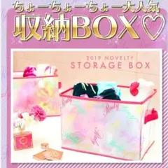 Rady マルチ収納 レア ノベルティ