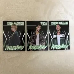 Psychic Fever RYOGA TSURUGI WEESA