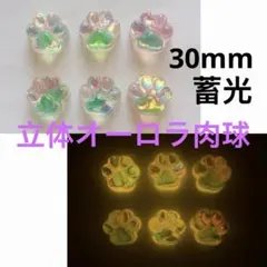 6個30mm蓄光立体オーロラ肉球デコパーツ スマホデコ素材DIYハンドメイド夜光