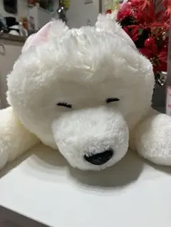 サモエドくん ぬいぐるみ 大きめ ホワイトホワイトクマ ぬいぐるみ 横たわる姿勢