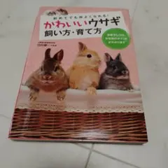 可愛的兔子飼養法・培育法：第一次也能變親近！