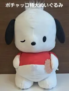【✨週末限定価格✨】ポチャッコ BIGぬいぐるみ ぽっこり サンリオ 匿名配送