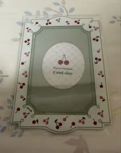 フクヤ 硬質ケース