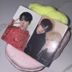 chii にゃぉ☆様 リクエスト 2点 まとめ商品