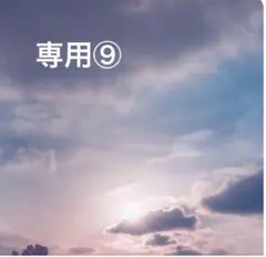 専用⑨