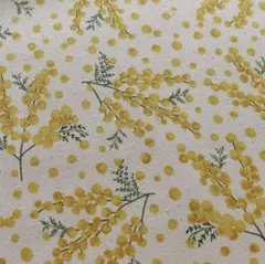 オックス ミモザ ナチュラル 1M 生地