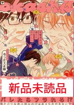 完璧彼氏は様子がおかしい　なつだ大正解　コミック　漫画　BL マンガ　新刊　新品