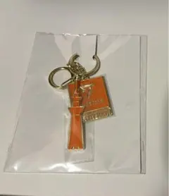 SEVENTEEN 東京スカイツリー限定キーホルダー