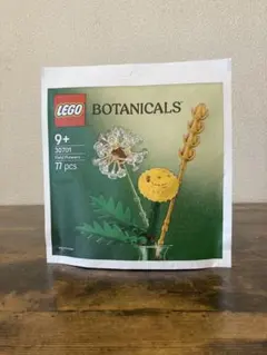 Item thumbnail for item 3fc0904f-2bbf-439d-ac5d-f902e06fe036