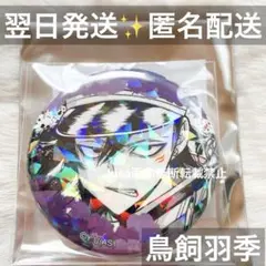 桃源暗鬼　vol.4 ホログラム缶バッジ　鬼國隊　新品未使用　鳥飼羽季　うり