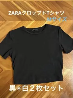 Item thumbnail for item aa27b2c1-07bc-448d-82f7-608c1758cf97