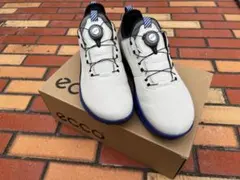 2026年最新】eccoゴルフシューズ 42の人気アイテム - メルカリ