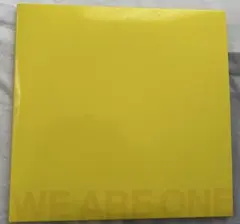 TRICERATOPS WE ARE ONE CD アルバム　DVD