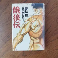 희귀 초판 아쿠덴 타니구치 지로 꿈 베개 아사히 소노라마
