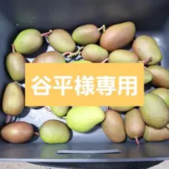 谷平様専用です!