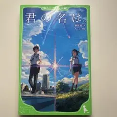 Item thumbnail for item 6b58dbcd-7996-4764-8e13-551b9e137cd2