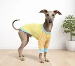 Item thumbnail for item fb144aa6-25c8-438e-8f83-1adba15bc805