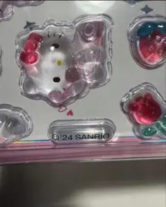 がんも様専用ページ