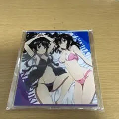 ストライク・ザ・ブラッド アクリルスタンド 姫柊雪菜 A Bセット 