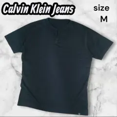☆美品☆カルバンクライン Tシャツ ブラック Mサイズ Calvin Klein