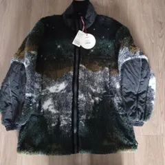 Item thumbnail for item 3909f35f-18e9-4e7c-86d0-a646292c7907