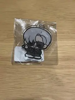 ストグラフェス　アクキー　ヴァンダーマー