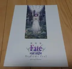 劇場版fate stay night heavens feel パンフレット