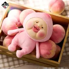 【新品】こびとづかん　一番くじ　ぬいぐるみ カクレモモジリ