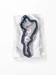 友達に自慢デキちゃう!?琵琶湖 BIWAKO アクリルキーホルダー 豚モチーフ