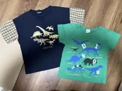 Item thumbnail for item 4ebab3e9-ddcb-4d83-a832-aaf61746e0c9