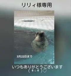 リピ様♡リリィ様専用♡レジンヘアゴムブローチ