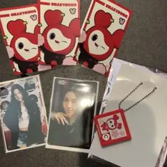TWICE THIS IS FOR オフラインくじ FCくじ E賞 チェヨン