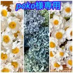 poko様 リクエスト 3点 まとめ商品