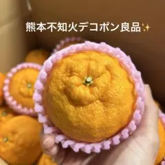 不知火（デコポン）ハウス物　食べきりサイズ　熊本県産 ハウス不知火(デコポン) 3Lサイズ ｜ 果物/オレンジ・その他みかん