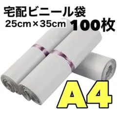 Item thumbnail for item 45ef3465-b471-4ecb-89d2-3f4ffe94de80