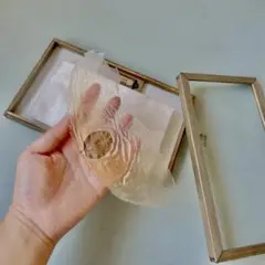 アルソトミラの標本箱