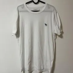 Abercrombie & Fitch アバクロ Tシャツ ロゴ刺繍 白Mサイズ
