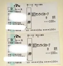サンライズホープ 幸英明騎手 馬券 大井競馬場 第68回東京大賞典